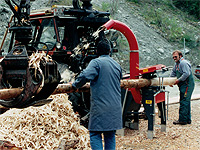 rundholzbearbeitung schaelen